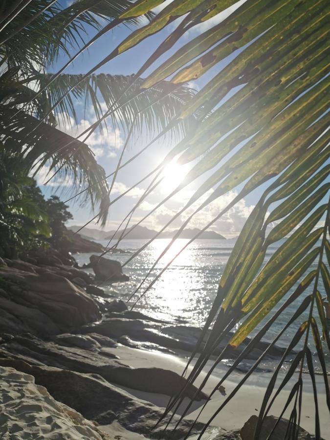 Chez Marva Grande Villa Coco 3 A 12 Personnes La Digue Bagian luar foto